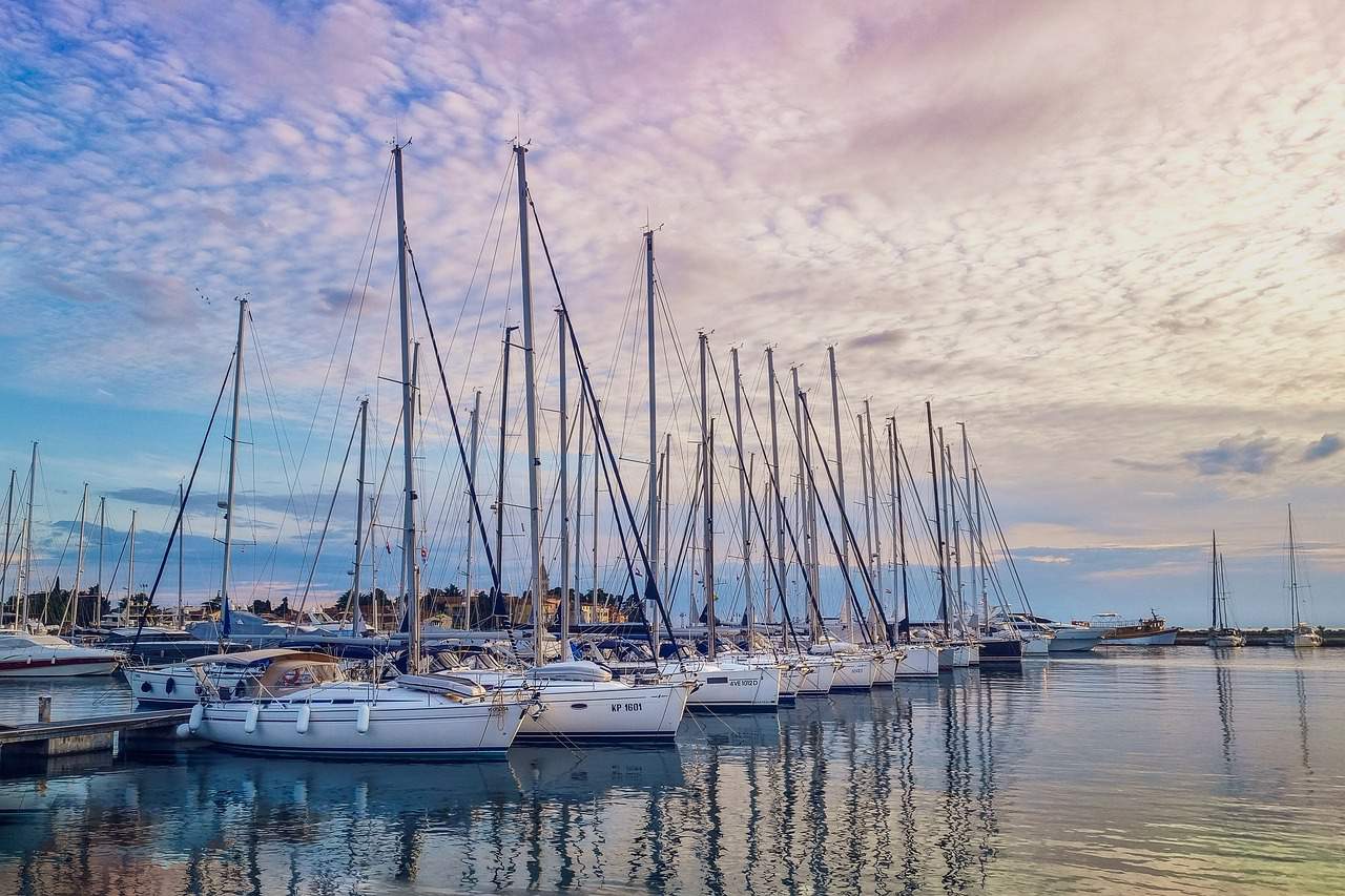 marina, nature, yachts-6362348.jpg